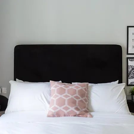 Acropolis Core Bright & Modern By Upstreet *